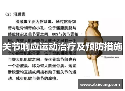 关节响应运动治疗及预防措施