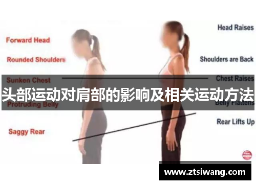 头部运动对肩部的影响及相关运动方法