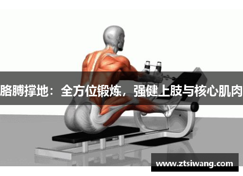 胳膊撑地：全方位锻炼，强健上肢与核心肌肉