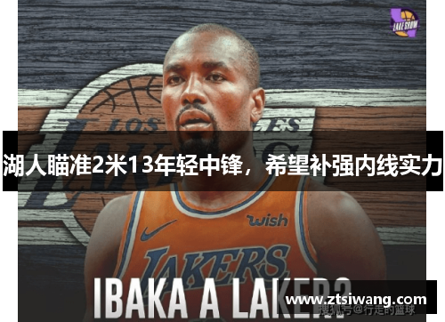 湖人瞄准2米13年轻中锋，希望补强内线实力