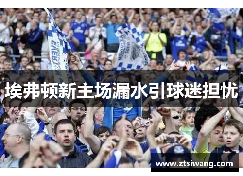 埃弗顿新主场漏水引球迷担忧
